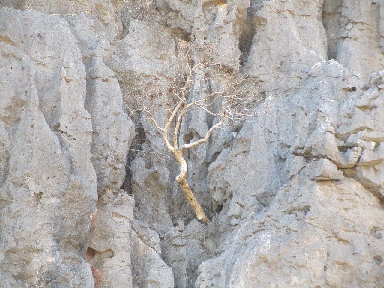 Still water reflecting the steep walls of a Kimberley gorge