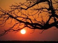 Kimberley Safari Tours guests and landscapes on tour in Western Australia