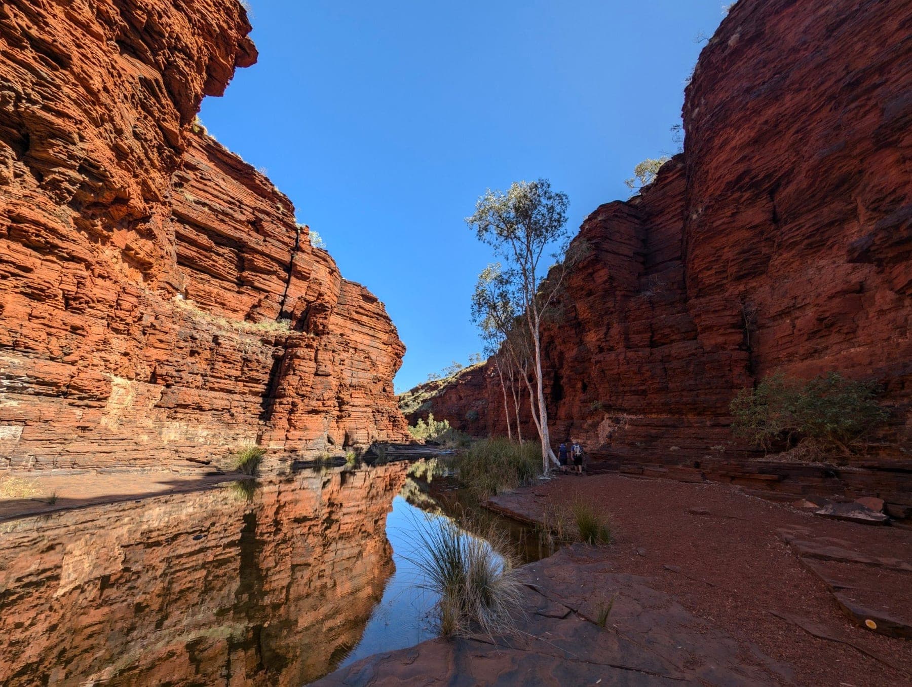 A waterfall and green pool deep in a Karijini gorge