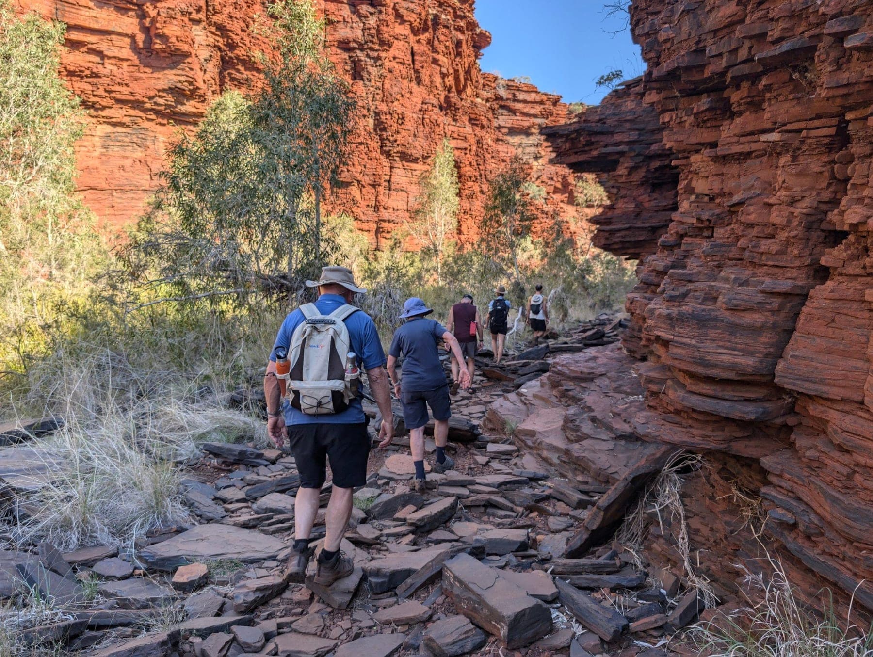 Sunlit red walls above a green pool in a Karijini gorge