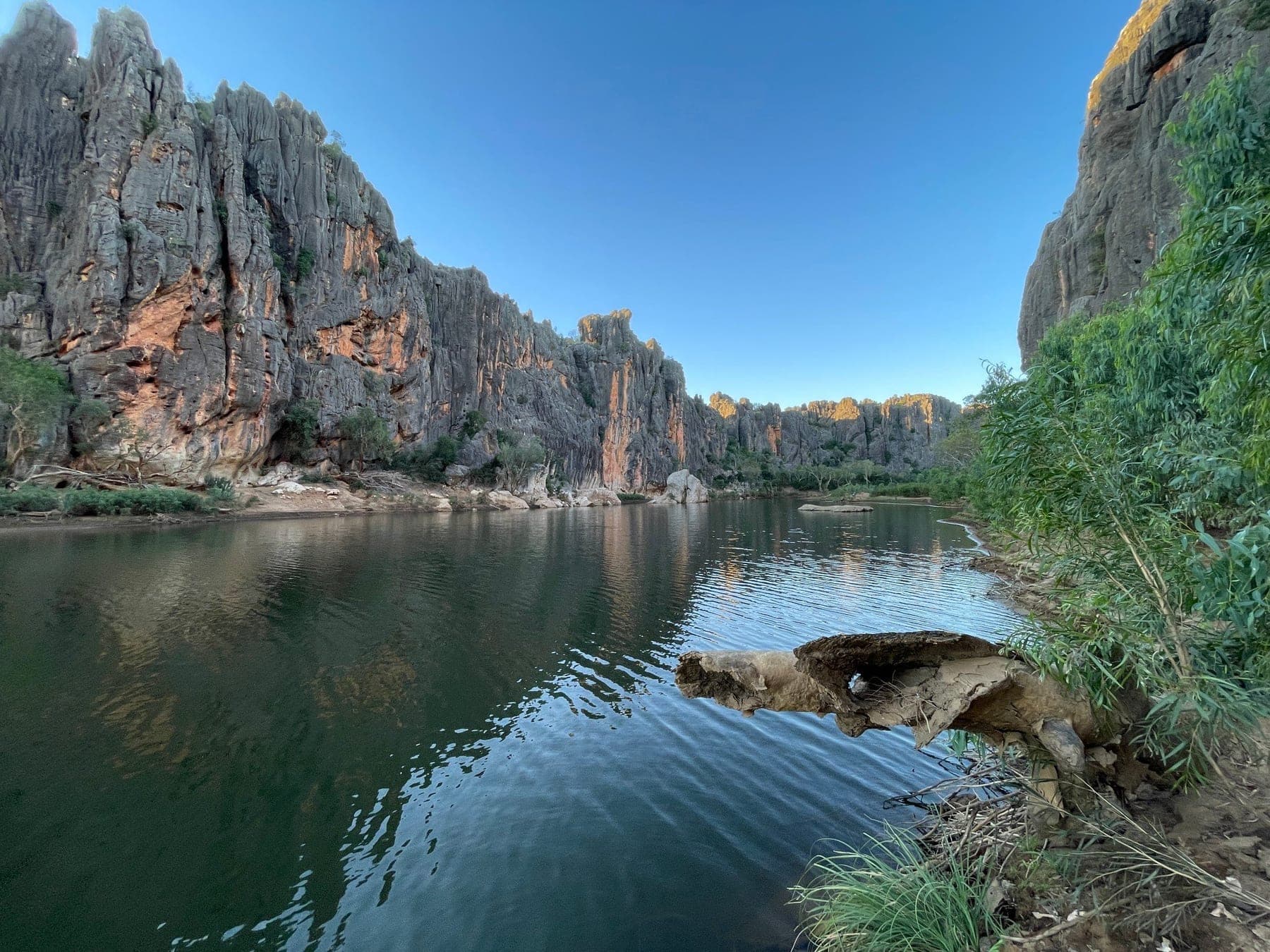 Limestone cliffs of Windjana Gorge rising above the Lennard River